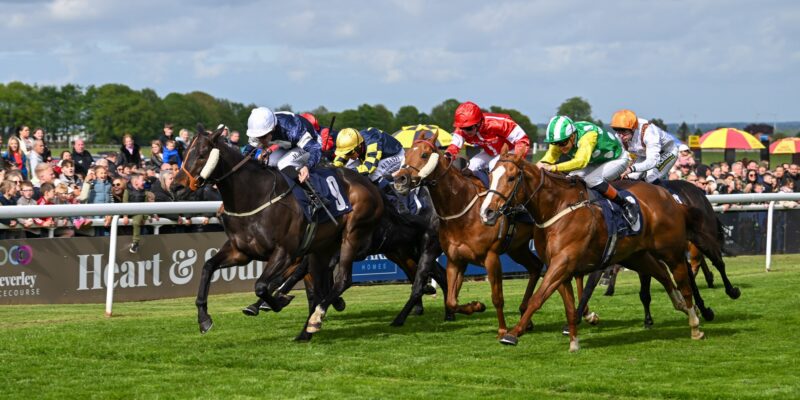 Beverley Racecourse 2026, Beverley Horse Racing, Beverley Races